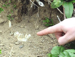 Çanakkale Şehitliği'nde yürek sızlatan görüntü Çanakkale Şehitliği'nde yürek sızlatan görüntü
